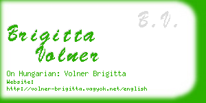 brigitta volner business card